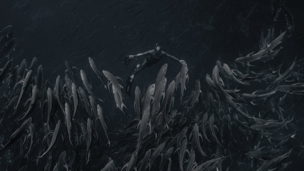 Freediving!